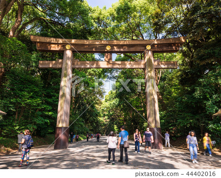 東京明治神宮 東京明治神宮 44402016