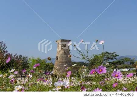 Eastern Historic Site, Gyeongju, Gyeongbuk 44402406