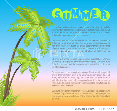 Summer Poster with Palms, Vector Illustration - Stock Illustration ...