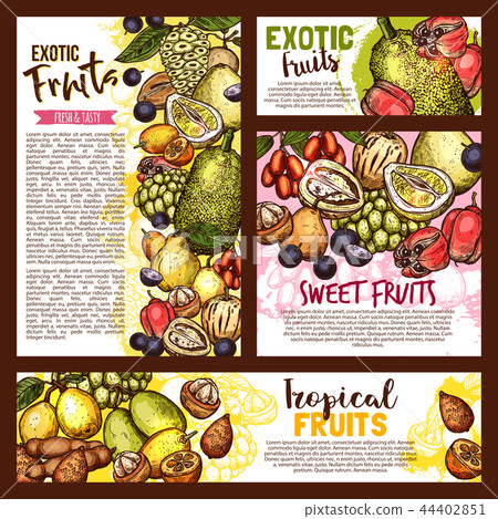 Exotic tropical fruits, vector sketch Exotic tropical fruits, vector sketch 44402851