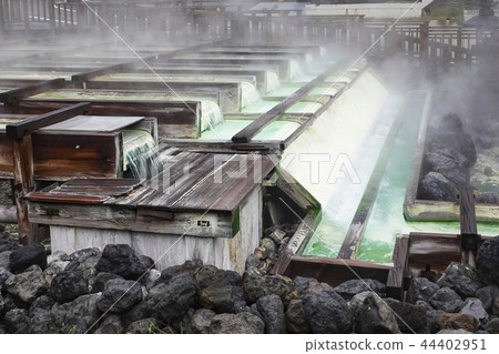 Hot spring flowing through the woods Hot spring flowing through the woods 44402951