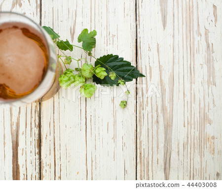 Beer glass and beer hops plant on wooden table Beer glass and beer hops plant on wooden table 44403008