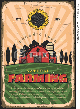 Farming agriculture and organic food 44403167