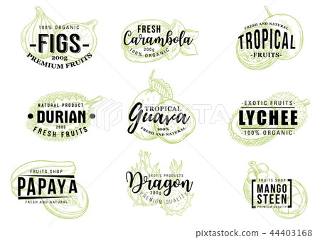 Tropical fruits sketch lettering, vector 44403168
