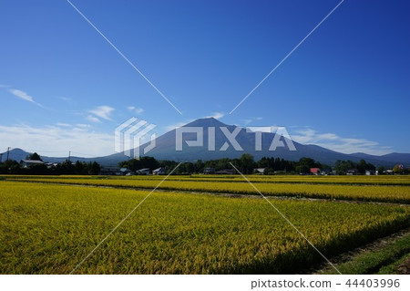 Iwateyama in the autumn 44403996