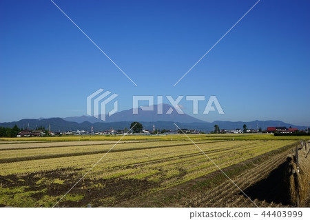 Iwateyama in the autumn 44403999