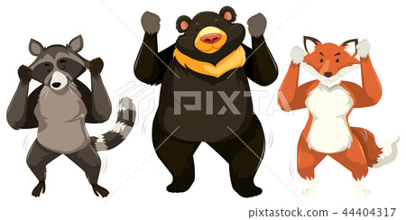 Three animals dancing white background Three animals dancing white background 44404317