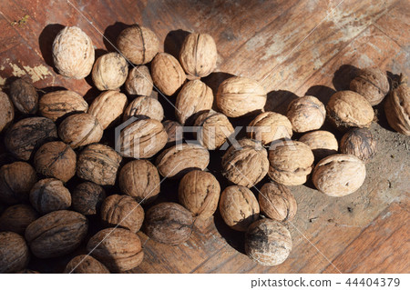 Scattered walnuts on the floor whole autumn Scattered walnuts on the floor whole autumn 44404379
