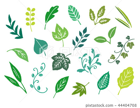 Leaf hand drawn 44404708