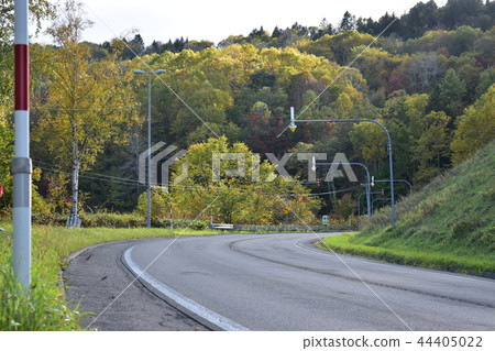 初秋和路 44405022