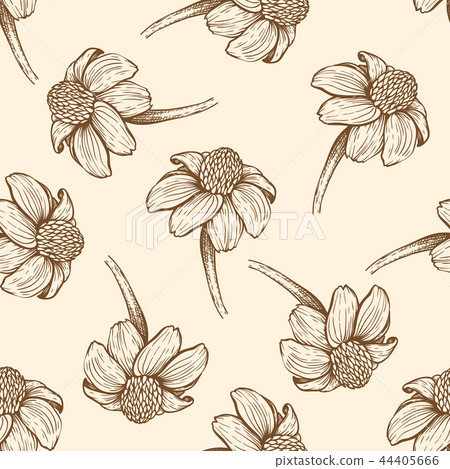 Seamless pattern with daisy flowers. - Stock Illustration [44405666 ...