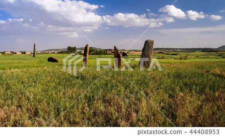 ancient Megalith stela field, Axum, Ethiopia ancient Megalith stela field, Axum, Ethiopia 44408953
