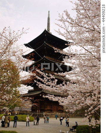Toji 5-storied pagoda Toji 5-storied pagoda 44409218
