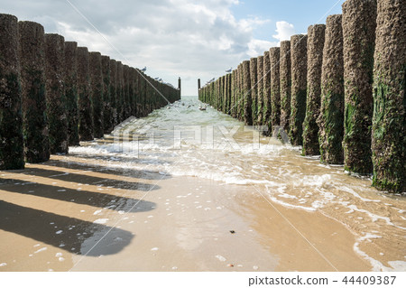Wooden poles in the sea 44409387