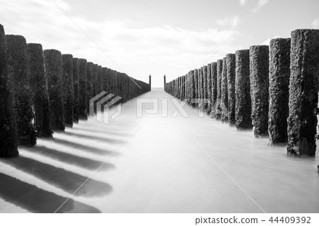 Wooden poles in the sea 44409392