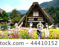 Shirakawago [Cosmos and Gassho-style] 44410152