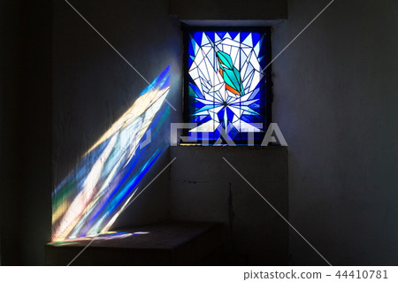 Beautiful kingfisher on stained glas , Prague 44410781