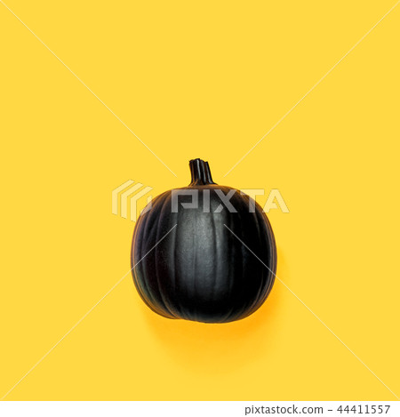 Black colored pumpkin 44411557