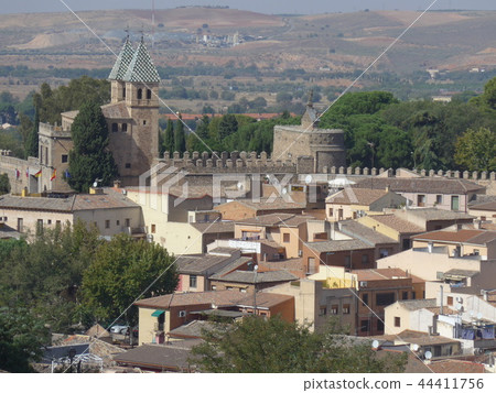 Toledo 44411756