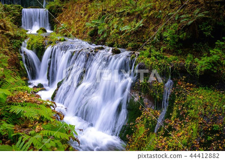 Shiraito Falls（輕井澤，十月） 44412882