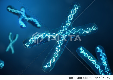3D illustration X-Chromosomes with DNA carrying the genetic code. Genetics concept, medicine concept 44413969