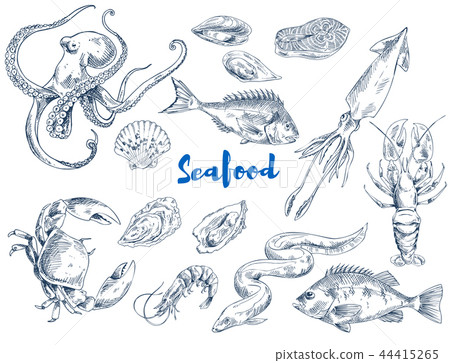 Exotic Seafood Monochrome Sketch Illustrations Set 44415265