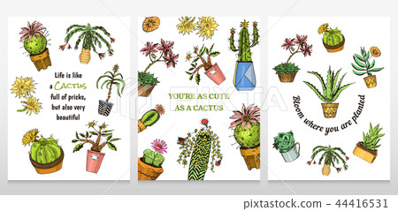 Set of cards cactus and cute template Succulents. Stickers for girls. Mexican houseplants posters Set of cards cactus and cute template Succulents. Stickers for girls. Mexican houseplants posters 44416531