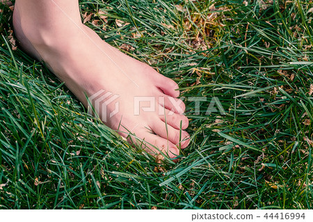 Female Bare Feet In Grass Female Bare Feet In Grass 44416994