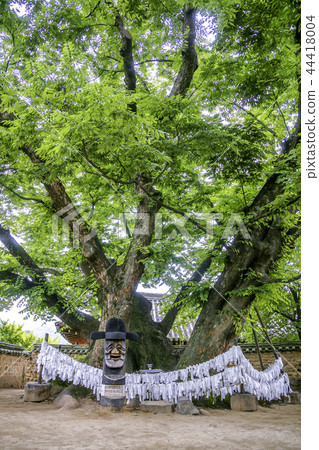 Gyeongsangbuk-do, Korea, Andong City, Andong Hahoe Village 44418004