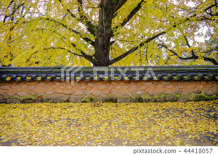 Gyeongsangbuk-do, Korea, Andong City, Andong Hahoe Village 44418057