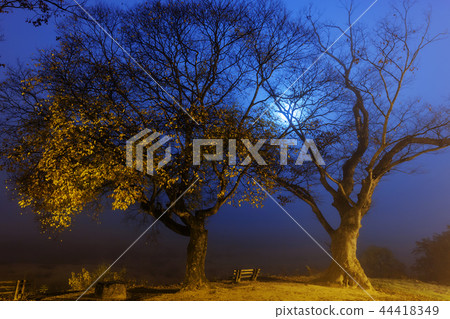 Gyeongsangbuk-do, Korea, Andong City, Andong Hahoe Village 44418349