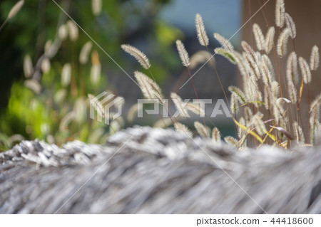 Gyeongsangbuk-do, Korea, Andong City, Andong Hahoe Village 44418600