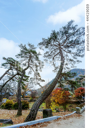 韓國慶尚北道，Yecheon， 44419089