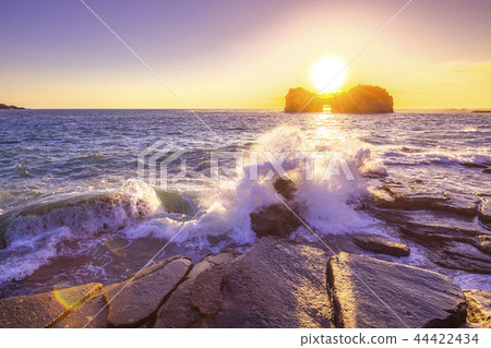 和歌山Kogishima 44422434