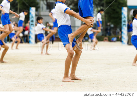 體操風景 體操風景 44422707