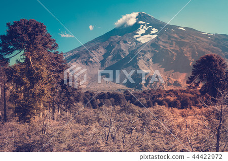 View of Lanin Volcano in National Park of Argentina View of Lanin Volcano in National Park of Argentina 44422972