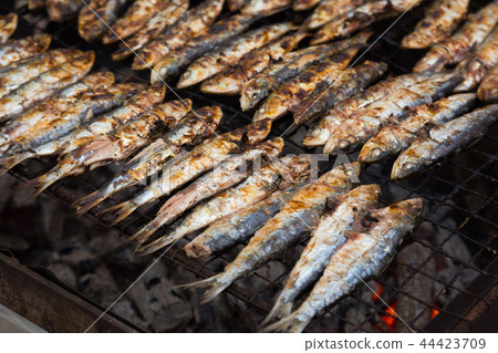 grilled sardines grilled sardines 44423709