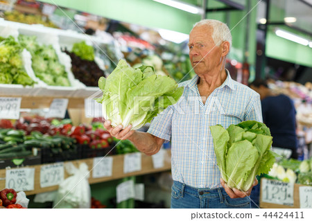 Senior man shopping in greengrocery 44424411