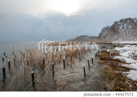 冬天在琵琶湖旁邊 44427572