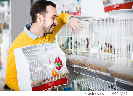 male customer deciding on best bird to keep in pet shop male customer deciding on best bird to keep in pet shop 44427743