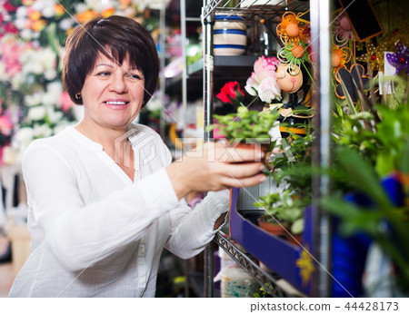 Customer looking for best begonia Customer looking for best begonia 44428173