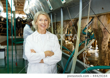 Woman working at milking line Woman working at milking line 44429164