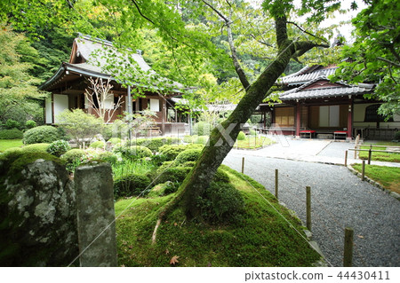 Shokoin Main Hall and Shoin 44430411
