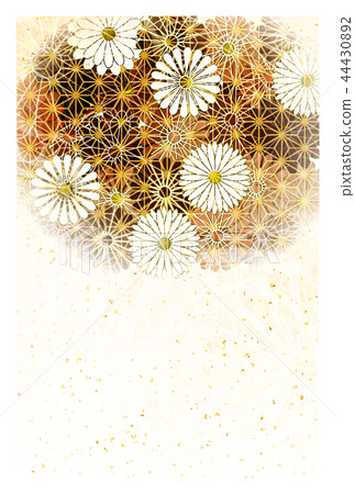 Chrysanthemum flower greeting card background - Stock Illustration ...