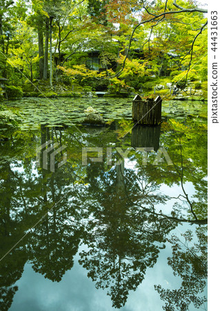 Tenshuan in early autumn 44431663