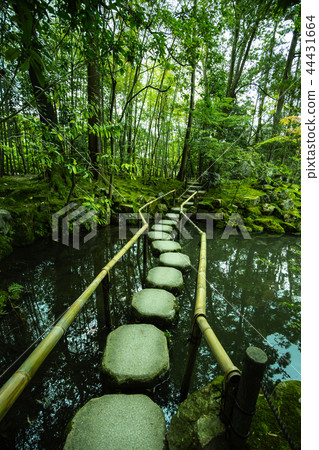 天秋初秋 44431664