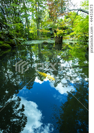 Tenshuan in early autumn 44431673