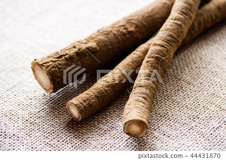 Burdock with soil Burdock with soil 44431870