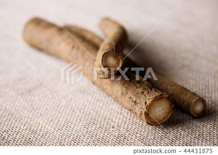 牛d與土壤 44431875