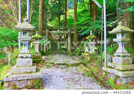 Hidehiko Toyosenbo observation deck climbing entrance (Takazumi Shrine approach) 44431888